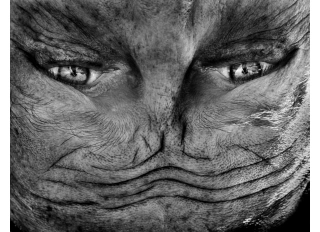 Illustration for article titled Upside-Down Portraits Of Human Faces Look Like Creatures From Space